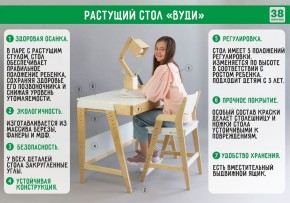 Комплект растущий стол и стул с чехлом 38 попугаев «Вуди» (Серый, Береза, Салют) в Коротчаево - korotchaevo.mebel-74.com | фото