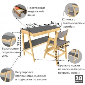 Комплект растущий стол и стул с чехлом 38 попугаев «Вуди» (Серый, Береза, Серый) в Коротчаево - korotchaevo.mebel-74.com | фото