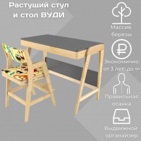 Комплект растущий стол и стул с чехлом 38 попугаев «Вуди» (Серый, Без покрытия, Монстры) в Коротчаево - korotchaevo.mebel-74.com | фото