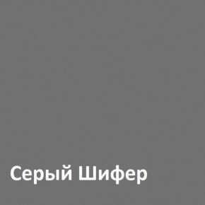 Юнона Шкаф торцевой 13.221 в Коротчаево - korotchaevo.mebel-74.com | фото
